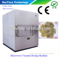 Fruit Slice Microwave Vacuum Dryer